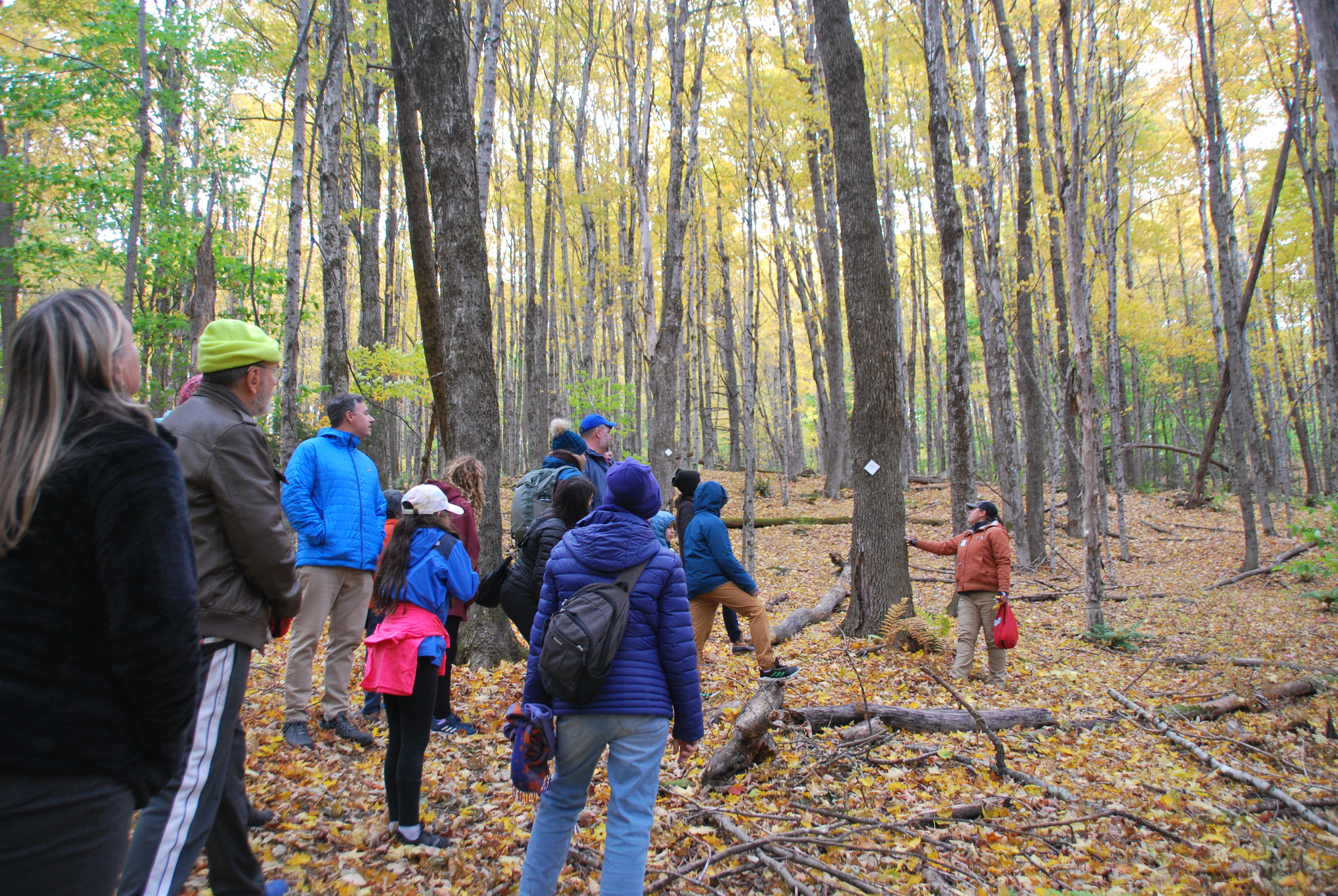 Gork tail hike with FWC november 24
