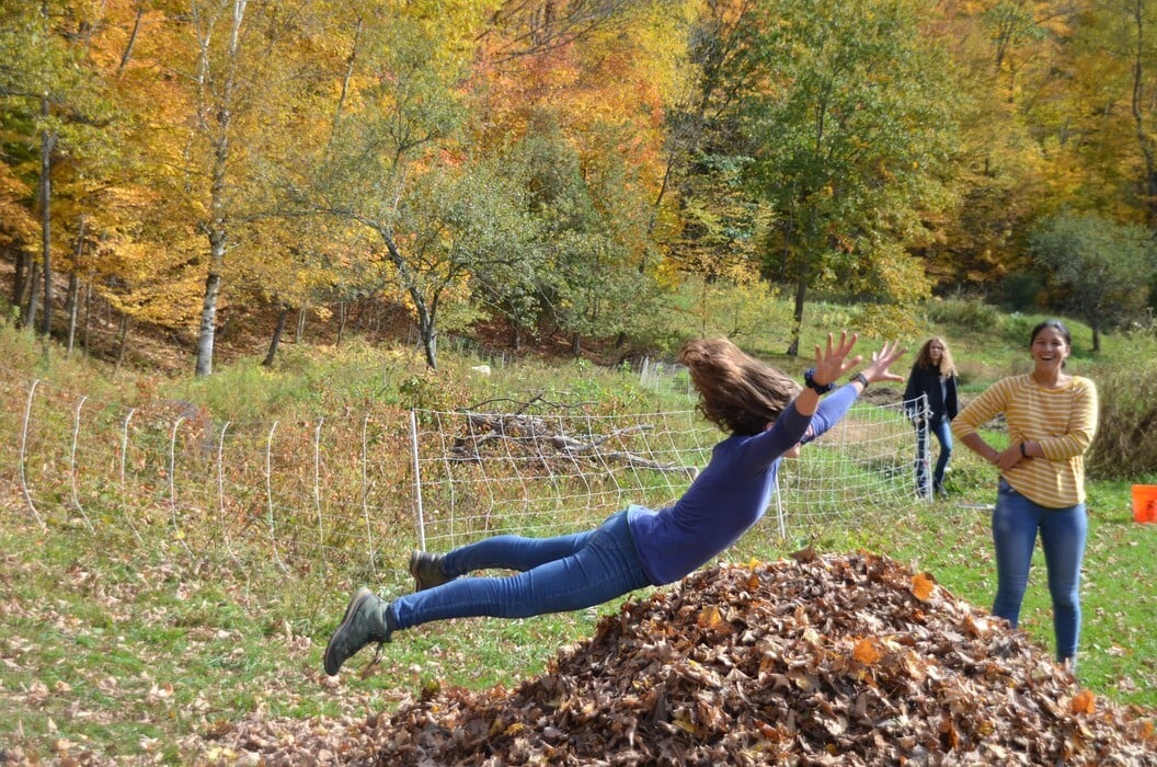 leaf-dive